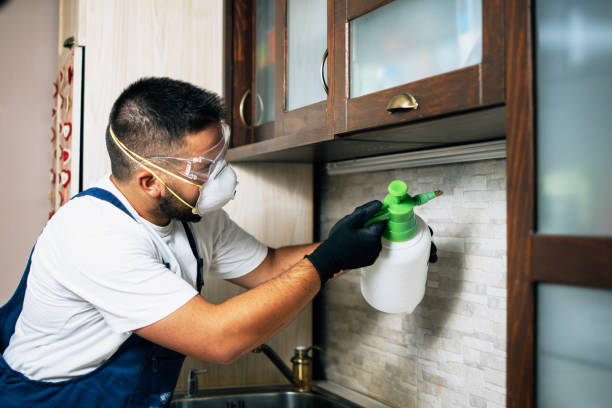 Reliable La Junta, CO Pest Control Solutions