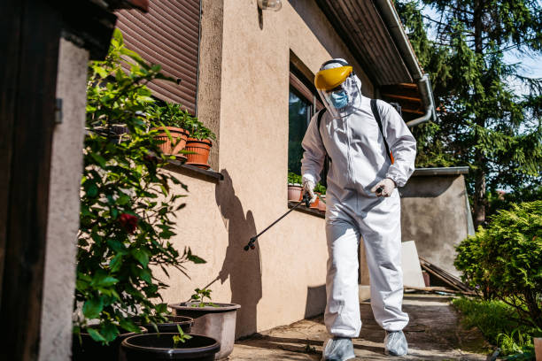 Best Best Pest Control Companies  in La Junta, CO