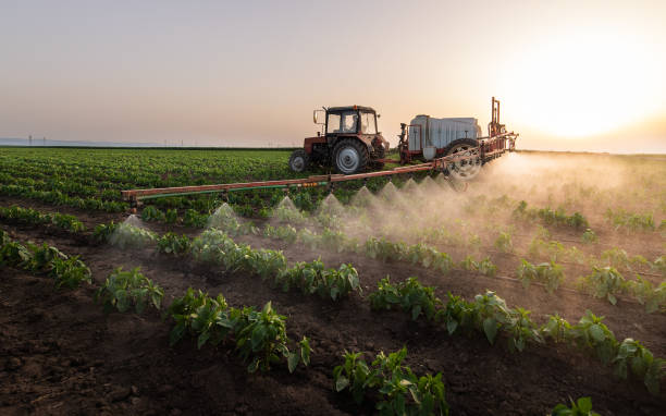 Best Pest Prevention Services  in La Junta, CO