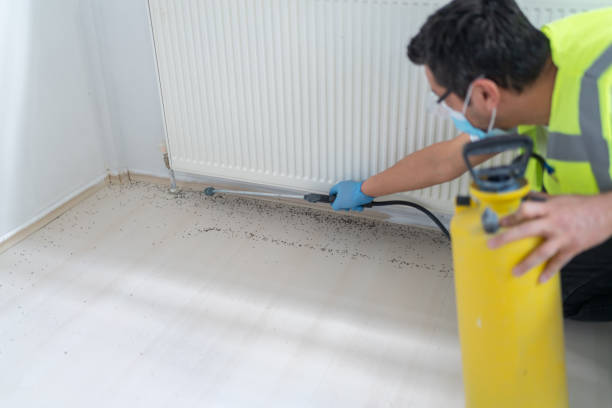 Best Best Pest Control Near Me  in La Junta, CO